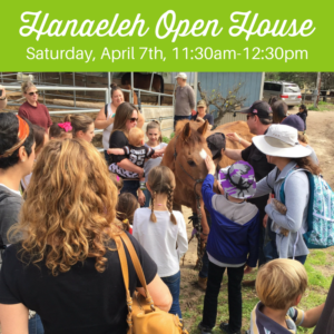 hanaeleh-open-house-saturday-april-7-2018-1