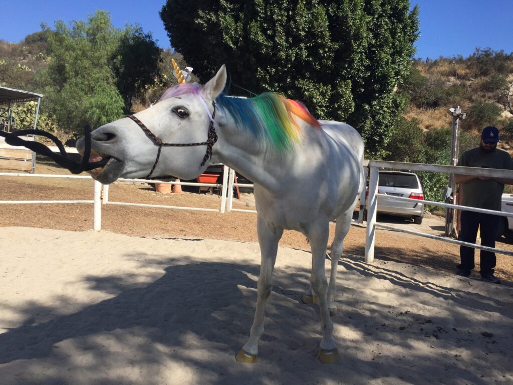 White horse with rainbow mane swinging a rope around in his mouth.