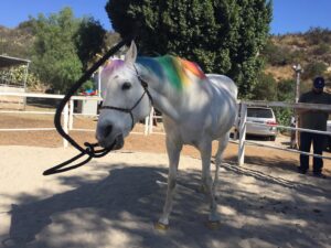 White horse with rainbow mane swinging a rope around in his mouth.