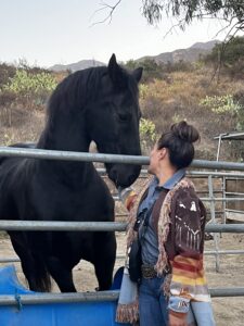 Black horse next to a woman who is looking at him